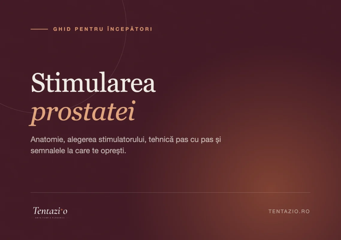 Ghid despre stimularea prostatei pentru începători: anatomie și tehnică