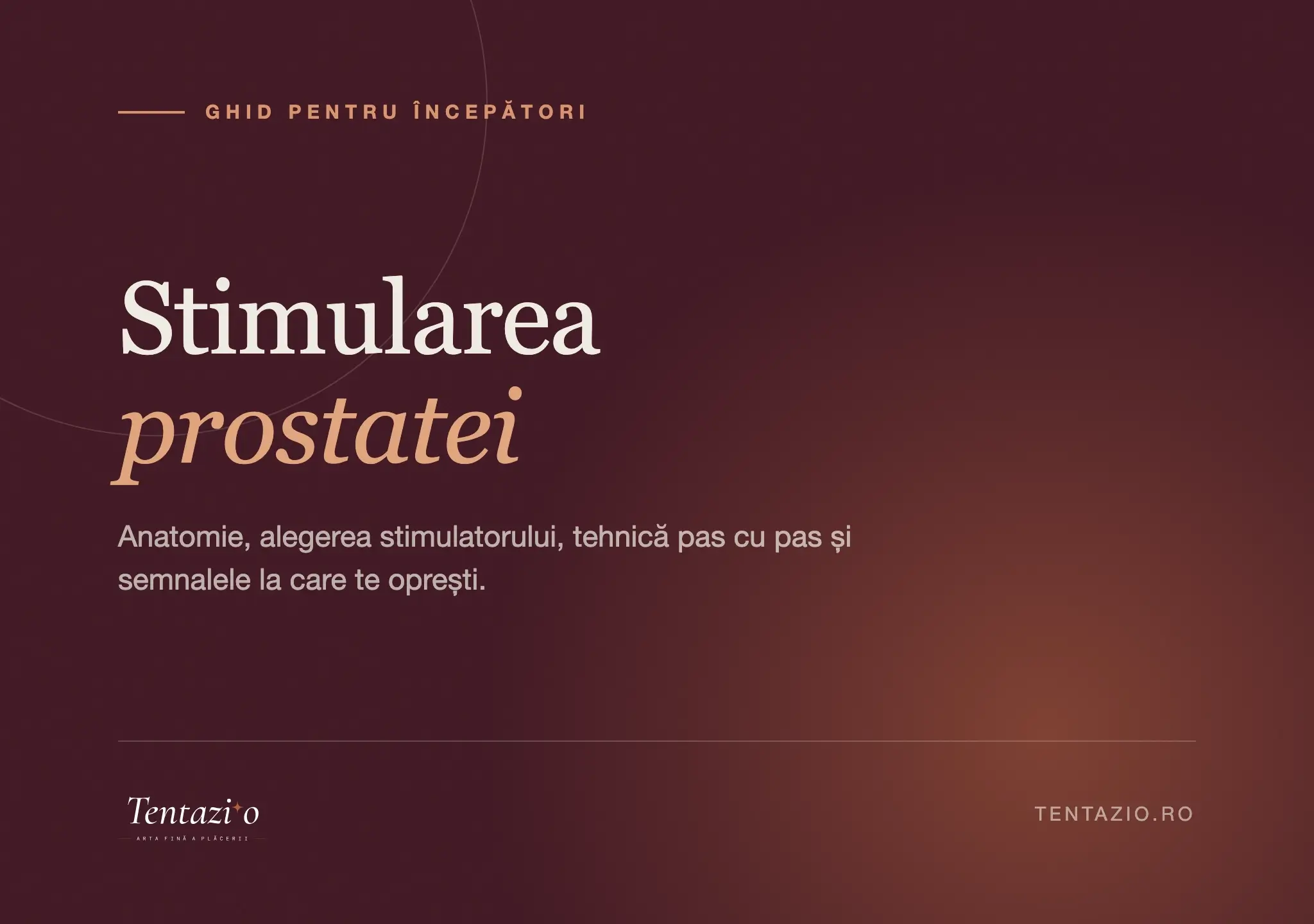 Ghid despre stimularea prostatei pentru începători: anatomie și tehnică