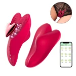 Vibrator purtabil cu aplicație, prins în lenjerie