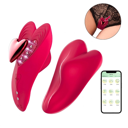 Vibrator purtabil cu aplicație, prins în lenjerie