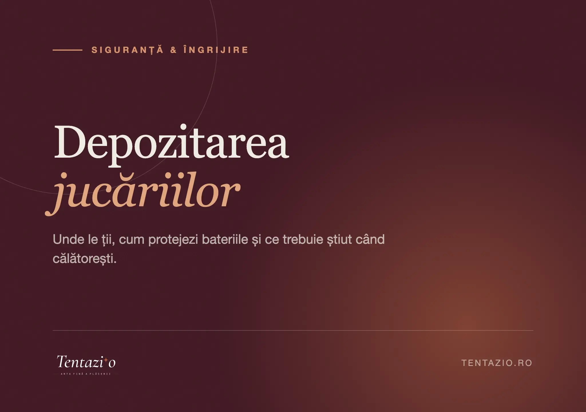 Ghid despre depozitarea jucăriilor intime, acasă și în călătorie