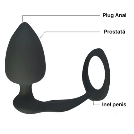 Părțile dopului anal cu inel, marcate în poză: plug anal, zona prostatei și inel pentru penis