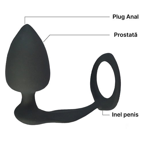 Părțile dopului anal cu inel, marcate în poză: plug anal, zona prostatei și inel pentru penis