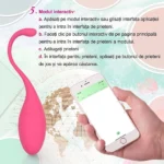 Pașii pentru modul interactiv din aplicație, lângă oul vibrator roz și un telefon ținut în mână